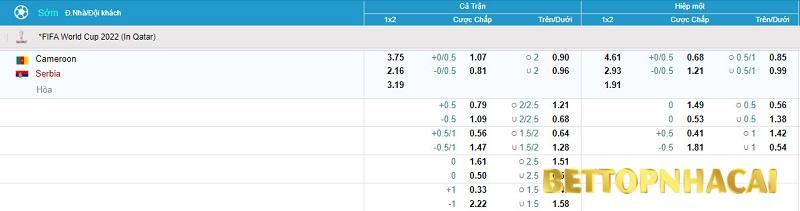 Tỉ lệ kèo trận bóng đá Cameroon vs Serbia