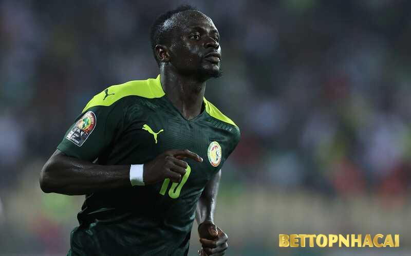 Đánh giá đội Qatar vs Senegal 