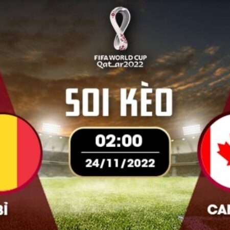 Nhận định trận đấu Bỉ vs Canada 02h00 ngày 24/11/2022 World Cup 2022