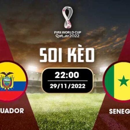 Nhận định đá bóng Ecuador vs Senegal 29/11 – 22H – BẢNG A